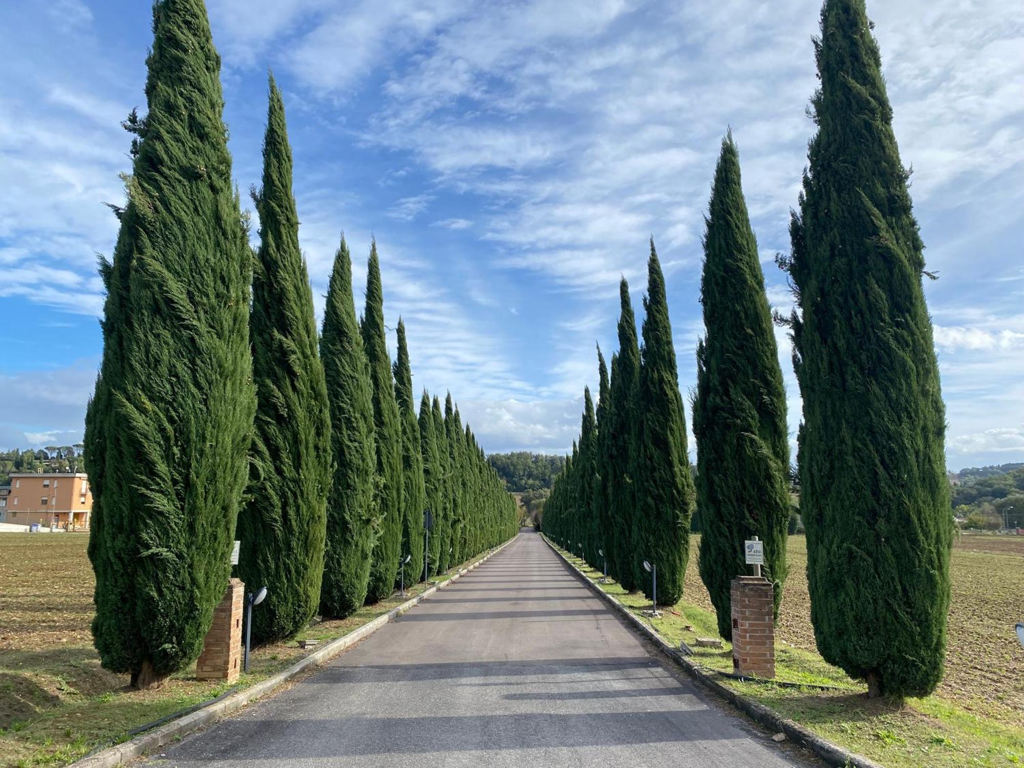La Locanda Dei Golosi Bosco  Luaran gambar